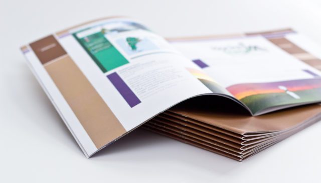 image of a brochure