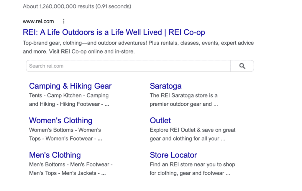 search engine results page REI.com